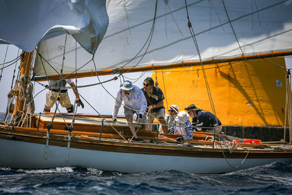 A29X2068.jpg