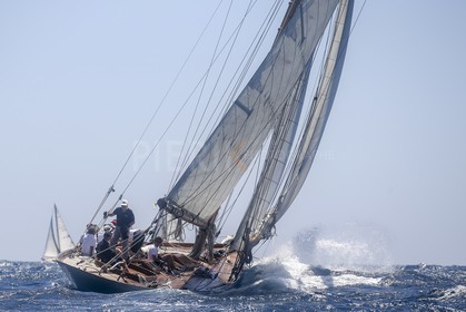 A29X6549.jpg