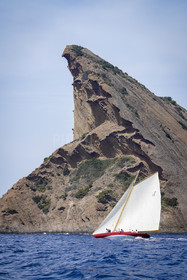 _DSC7454.jpg