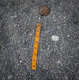 A29X3634.jpg