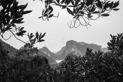 Halong bay-4.jpg