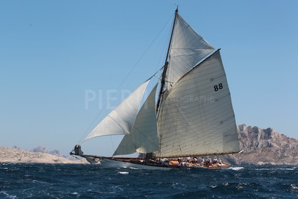 Moonbeam of Fife