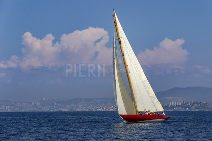 A29X2477.jpg