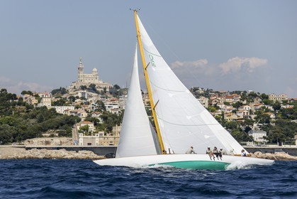 A29X9395.jpg