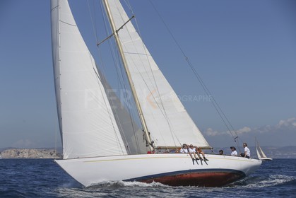 A29X6418.jpg
