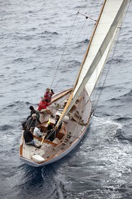 Irène VIII