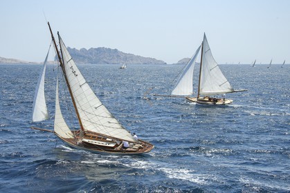A29X1477.jpg
