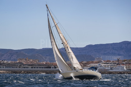 A29X0031.jpg