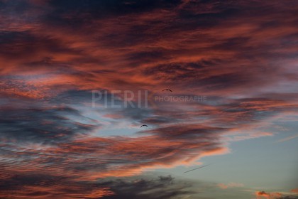 IMG_3566.jpg