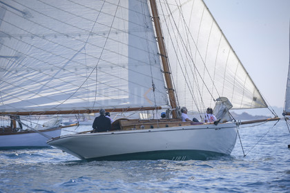 A29X7126.jpg