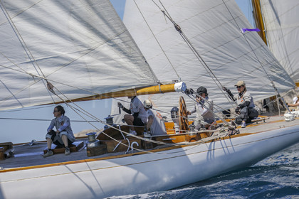 A29X8566.jpg