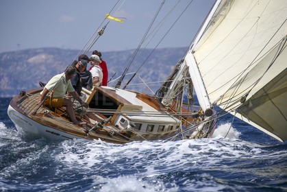 A29X9246.jpg