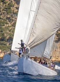A29X6284.jpg