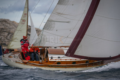 A29X9659.jpg