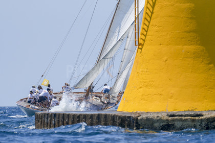 VVP_2023-08438.jpg
