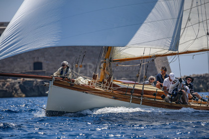 A29X1756.jpg