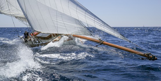 O60A5773.jpg