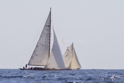 A29X6939.jpg
