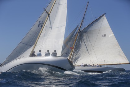 A29X6543.jpg