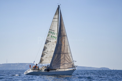 DSC01012.jpg