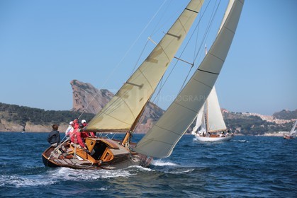 Windhover