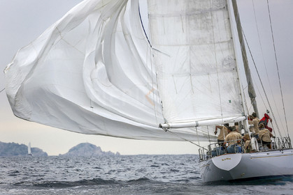 VireVire2014-204.jpg
