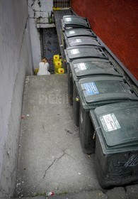 DSCN5722.jpg