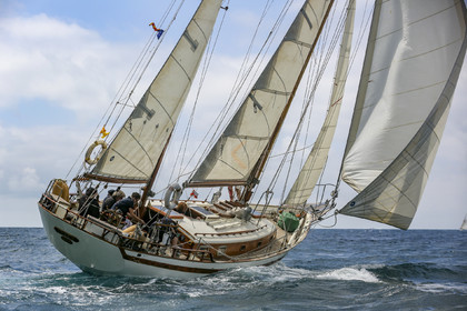 O60A5720.jpg