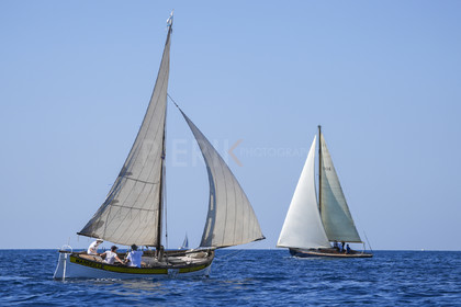 DSC00874.jpg