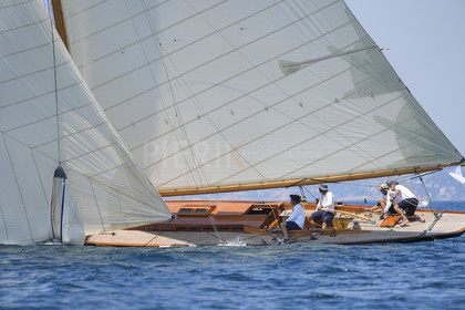 VVP_2023-01213.jpg