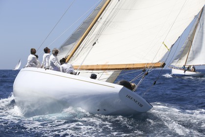 A29X6475.jpg