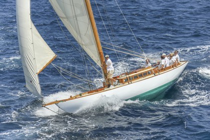 A29X1410.jpg