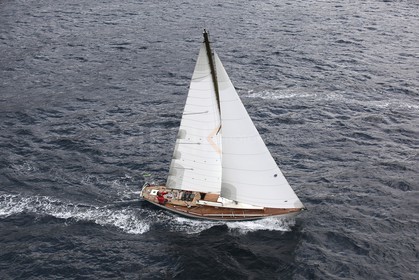 Palynodie II