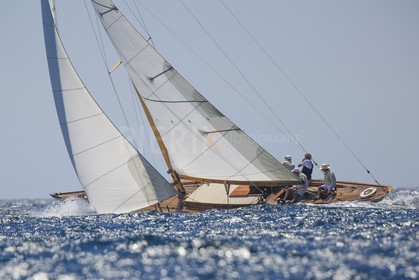 O60A0229.jpg