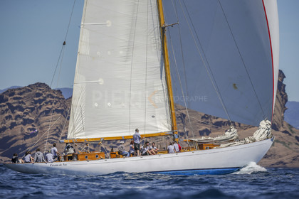 A29X9103.jpg