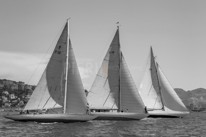 AZ0T9965.jpg