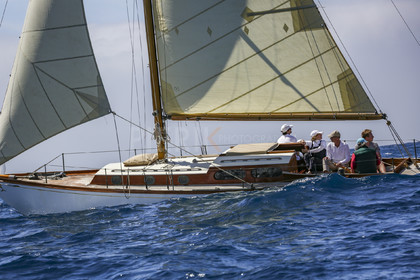 O60A1966.jpg