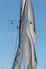 Moonbeam IV
