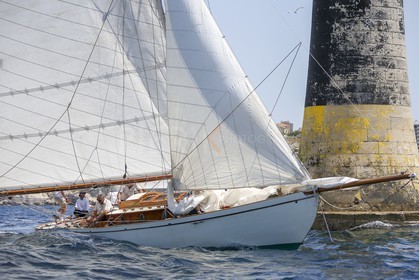 A29X2411.jpg