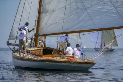 A29X2706.jpg