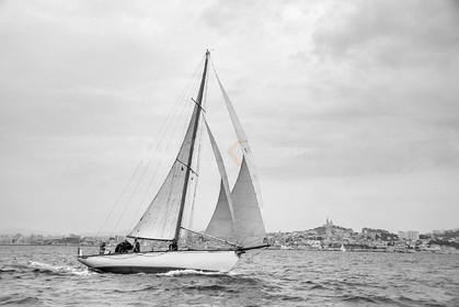 VireVire2014-233.jpg