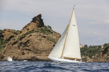 O60A7182.jpg