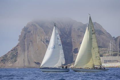 A29X9215.jpg