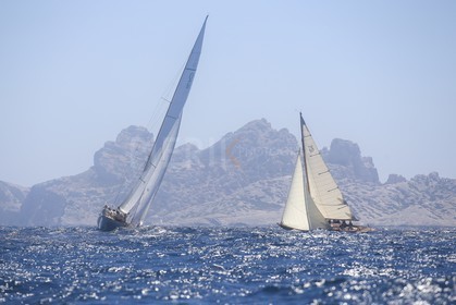 A29X6526.jpg
