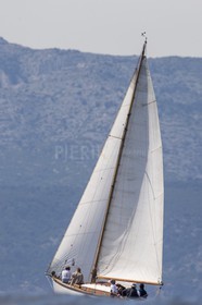 A29X6933.jpg