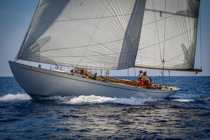 A29X1598.jpg
