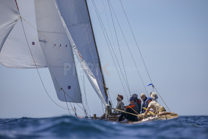 A29X8539.jpg