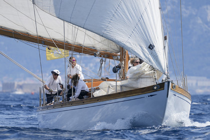 VVP_2023-01264.jpg