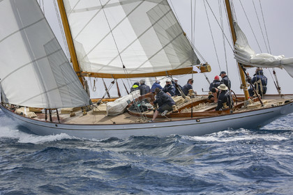 O60A2370.jpg
