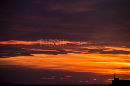 IMG_3568.jpg